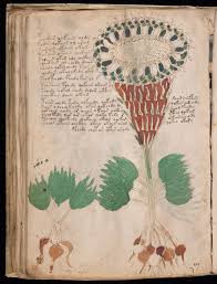 The Voynich Effect