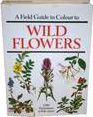 Field Guide in Colour to Wild Flowers